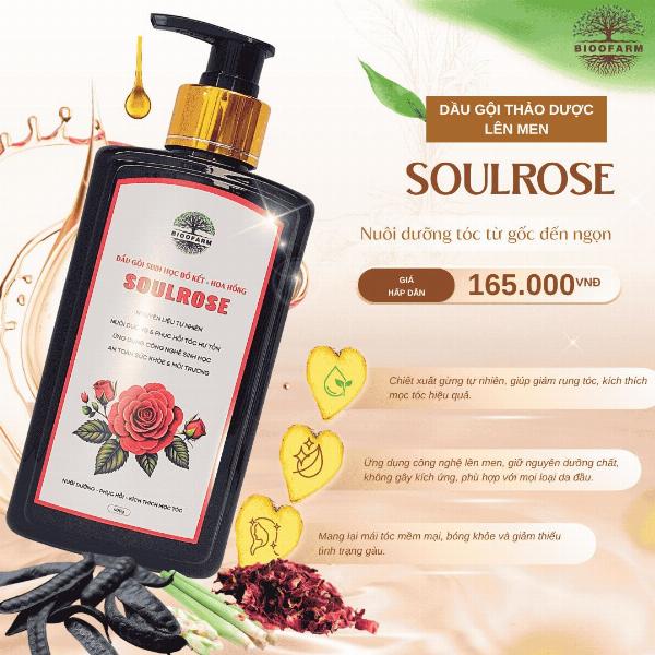 Dầu Gội Sinh Học SoulRose – Giải Pháp Giảm Rụng Tóc, Mượt Tóc Tự Nhiên Từ Thảo Mộc Lên Men
