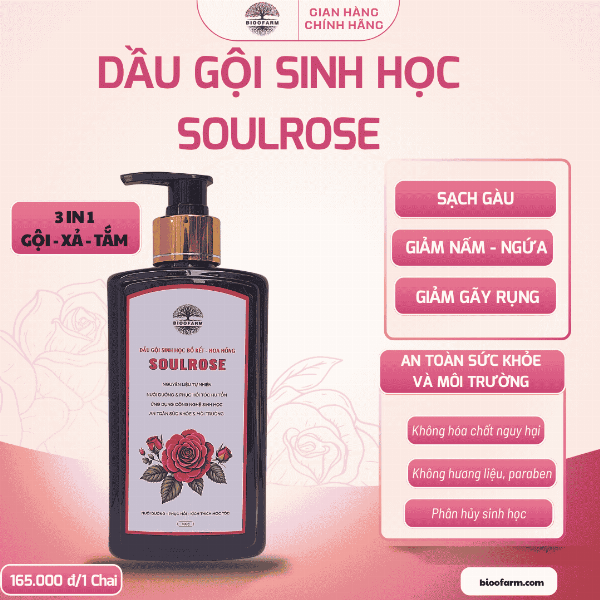 Dầu gội sinh học bồ kết hoa hồng sạch gàu, giảm nấm ngứa