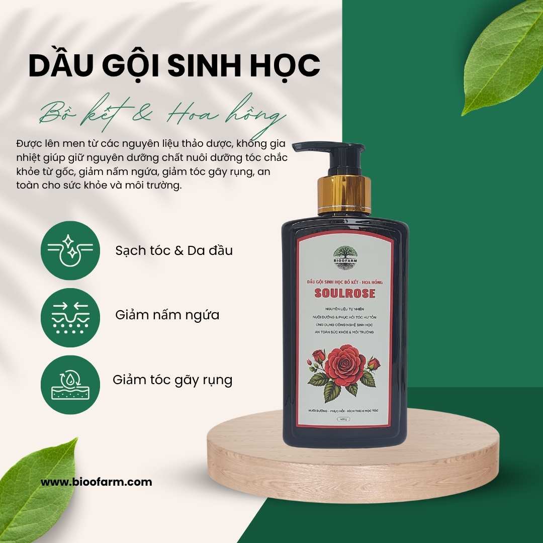 Dầu gội sinh học bồ kết hoa hồng sạch gàu, giảm nấm ngứa